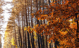 抖音24小时自助服务平台(如何播放量上十万)