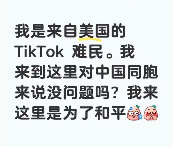 小红书TikTok出海对比分析_怎么给小红书买热度_小红书电商出海领航计划
