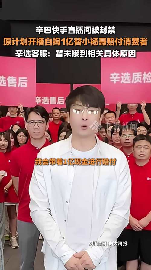 辛选直播带货未来趋势_快手电商辛巴退网_快手业务平台