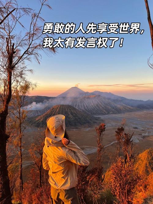 有钱的人先享受世界 _勇敢的人先享受世界 _爆款文案100w热榜